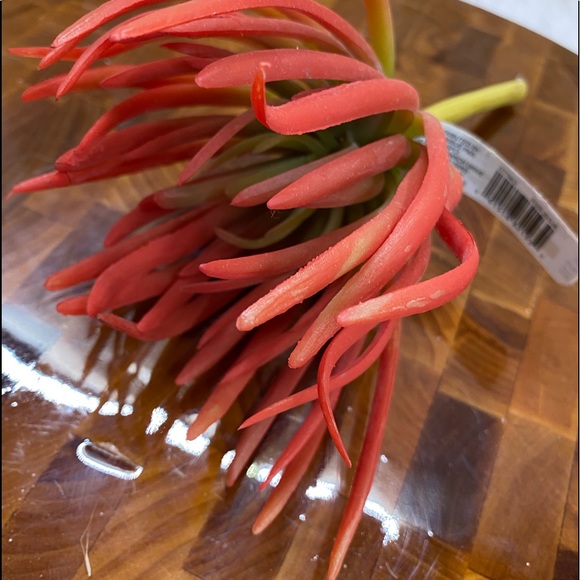 Lot of 4, Faux succulent florals for DIY - Picture 4 of 9